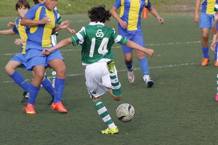 开云体育在线-加拿大碾压皇马，范佩西绝境逆转：一场惊心动魄的足球传奇