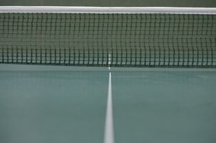 开云官方app入口-奥地利乒乓球队完胜瑞典乒乓球队，水谷隼打破历史纪录