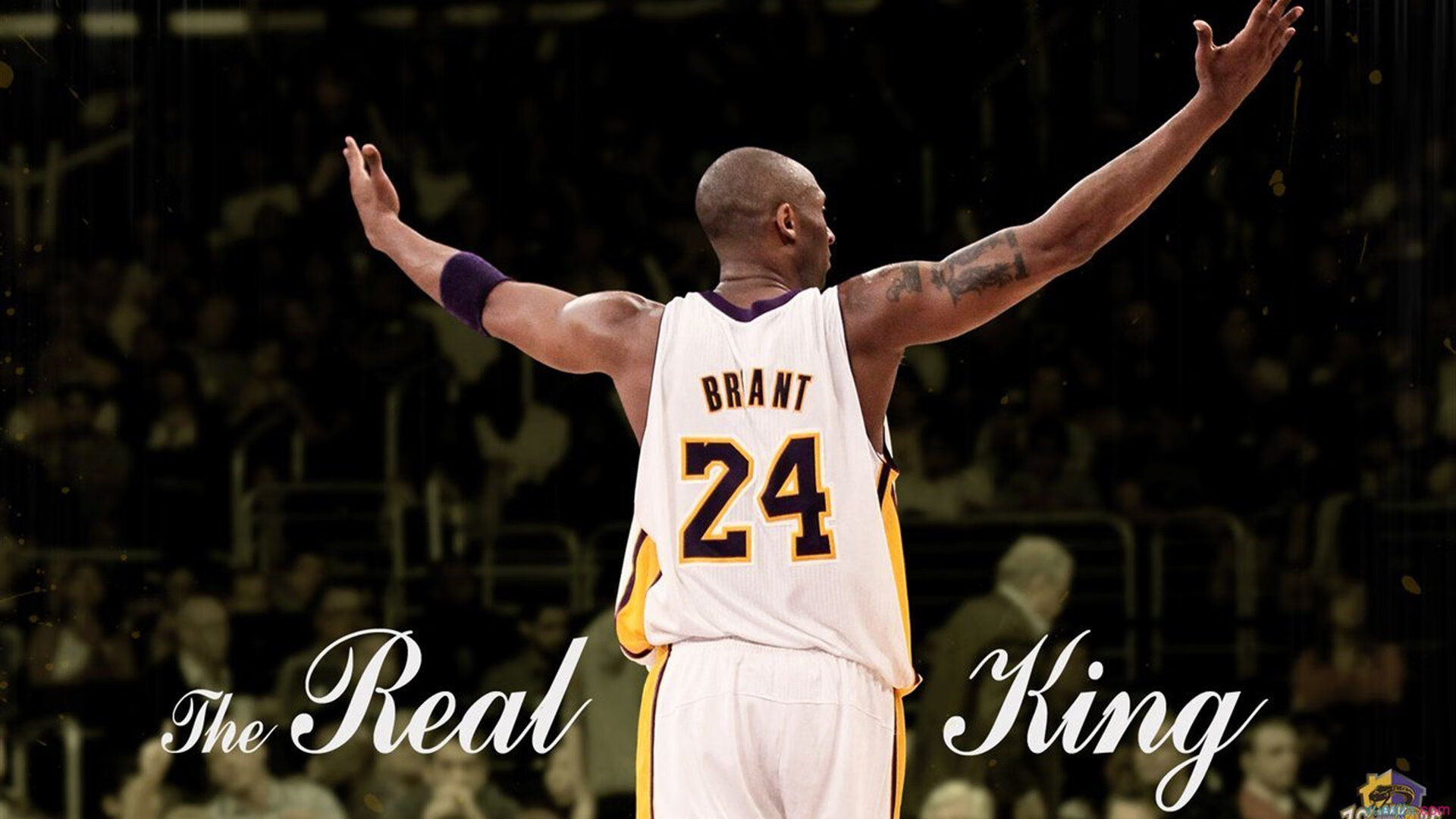 年度焦点之战,尼克斯一波流席卷开拓者,战术纪律铸就经典逆转